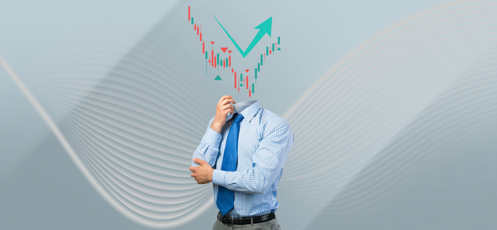 Audience Research & Insights